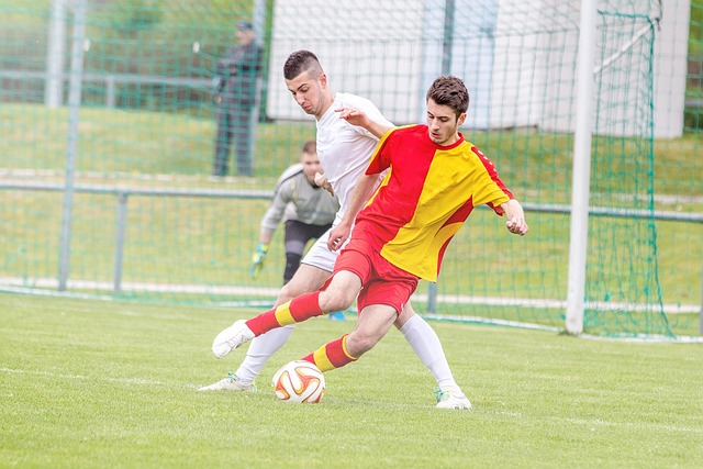 Ære, magt og blod: Sandheden om den sidste duel i middelalderen